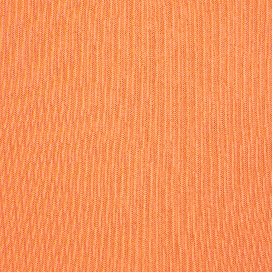 cotton rib t-shirt - apricot